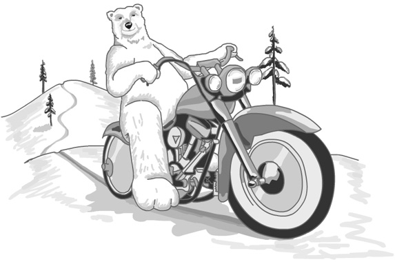 Image result for polar bear on motorcycle