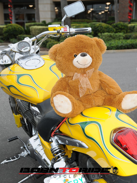 teddy bear run 2020