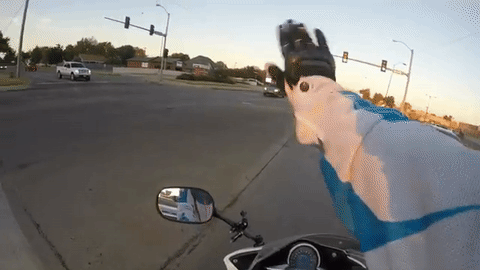 Biker stops traffic to save a kitten…. Hero of the day.