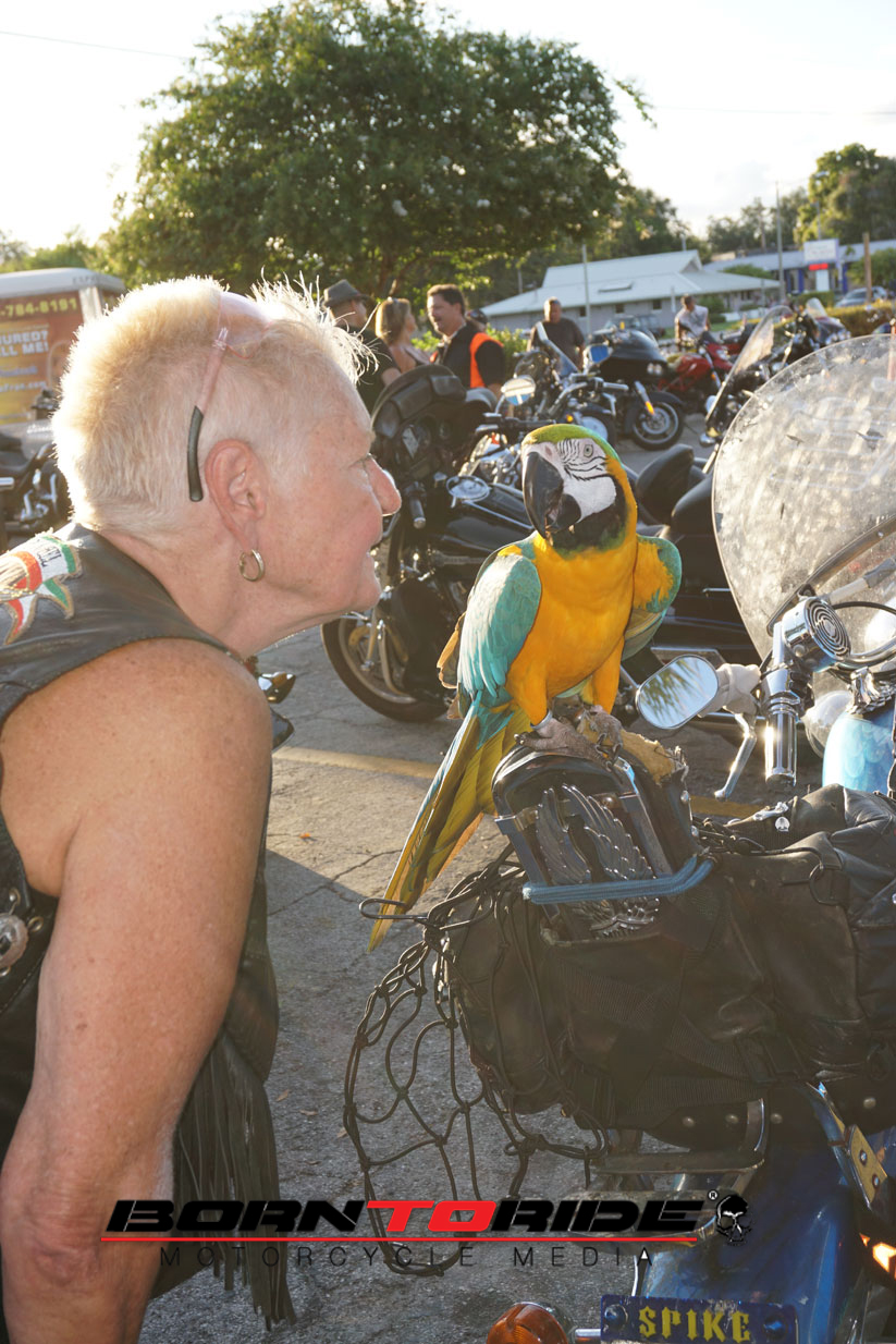 biff burger st pete bike night biff burger st pete bike night