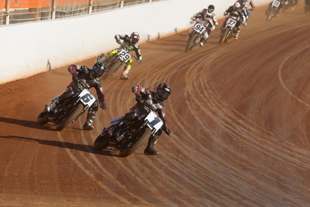 American Flat Track heads west for the Law Tigers Arizona Mile presented by Indian Motorcycle