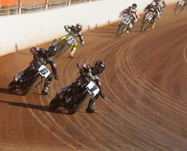 American Flat Track heads west for the Law Tigers Arizona Mile presented by Indian Motorcycle