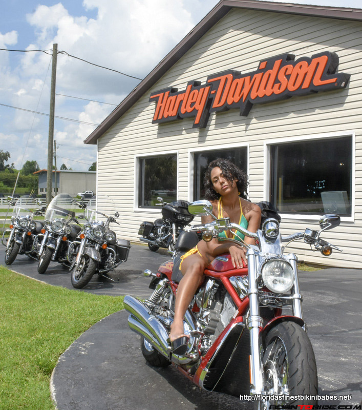 FloridasFinestBikiniBabesBikeWash(17) Born To Ride Motorcycle