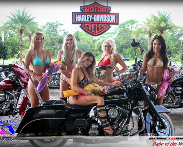 Motorcycle Babe of the Week Miss Crystal Harley Davidson 2018 Photo Gallery