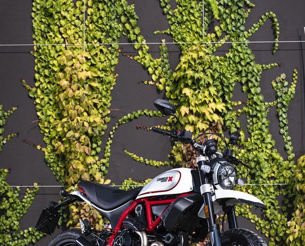 2019 Scrambler Ducati Models Arrive in Dealerships Just in Time for Holidays