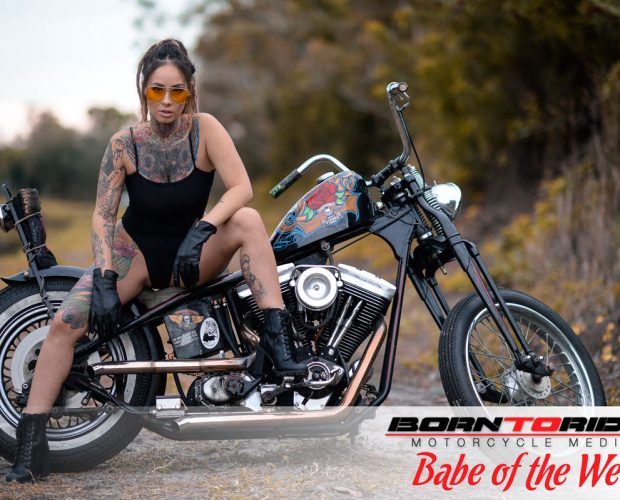 Born To Ride Biker Babe of the Week Velvet Queen