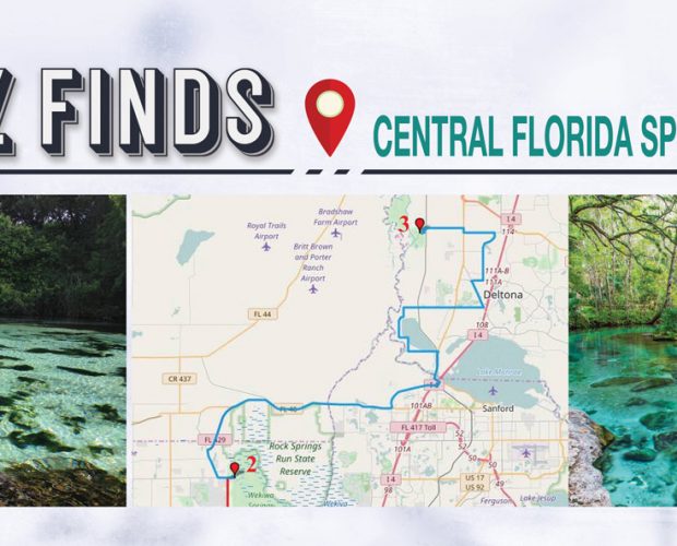 FINZ FINDS Central Florida Spring Ride