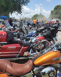 Born To Ride's Great American Motofest Gallery #1