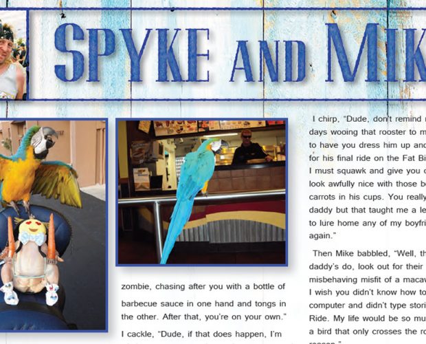 Squawk on the Wild Side – Spyke & Mike